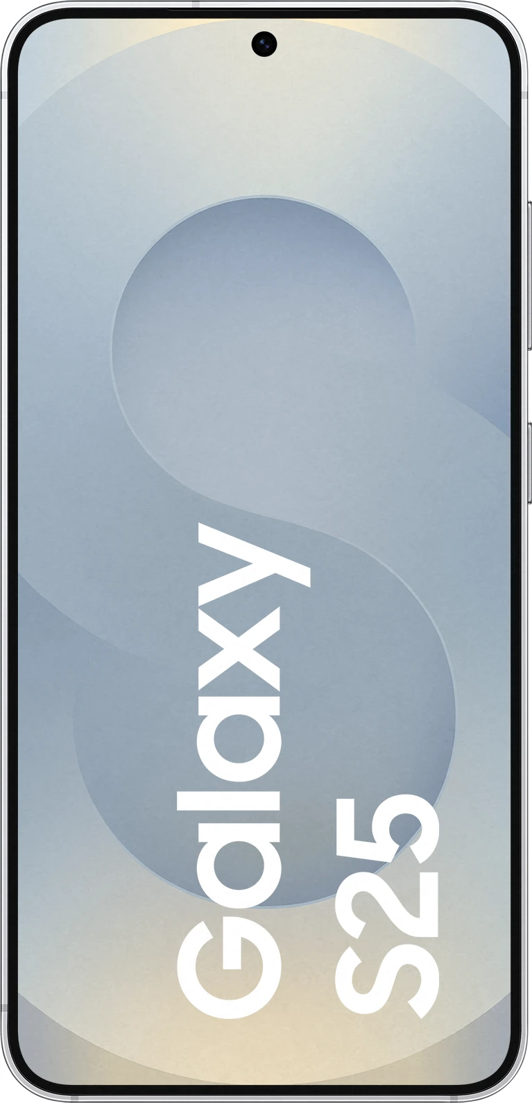 Samsung Galaxy S25 256 GB Silver Shadow